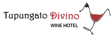 Tupungato Divino