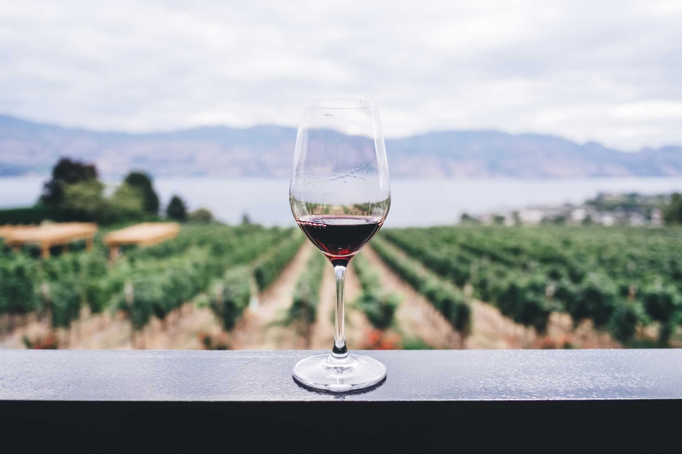 Vinos de Altura Tupungato Divino