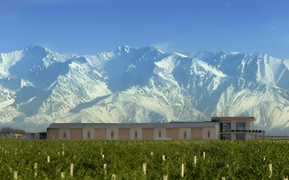 Vistas de los Andes Tupungato Divino
